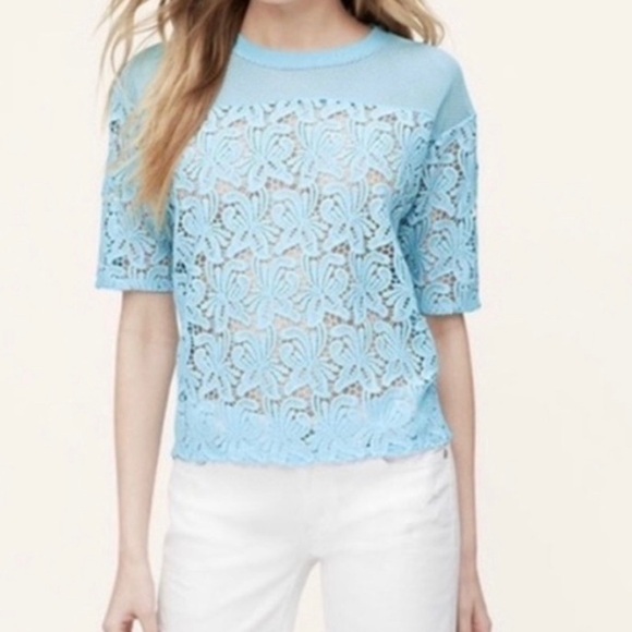 Loft Ann Taylor Loft Lace Blossoms Crop Tee Blue Blogger Favorite Size Large - Picture 1 of 8